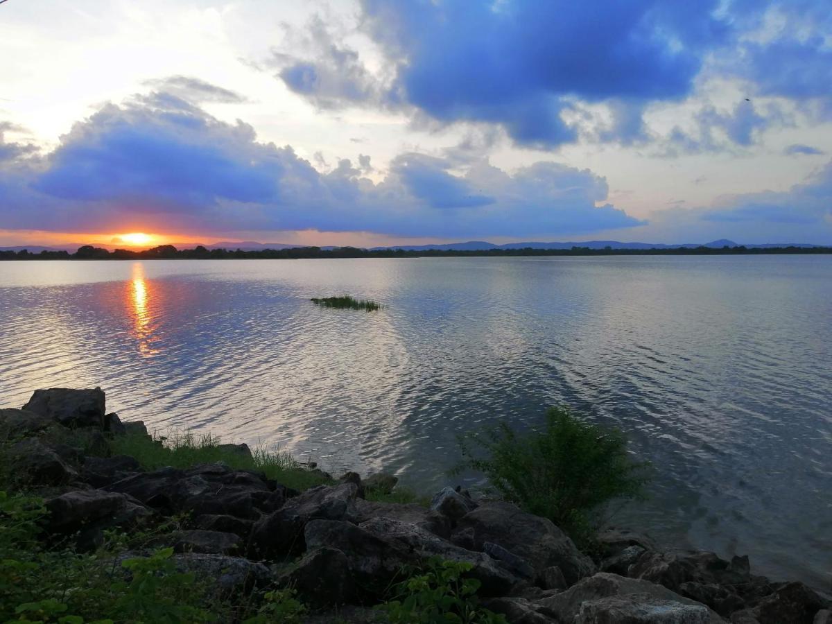 Geethani Tourist Home Polonnaruwa Eksteriør bilde