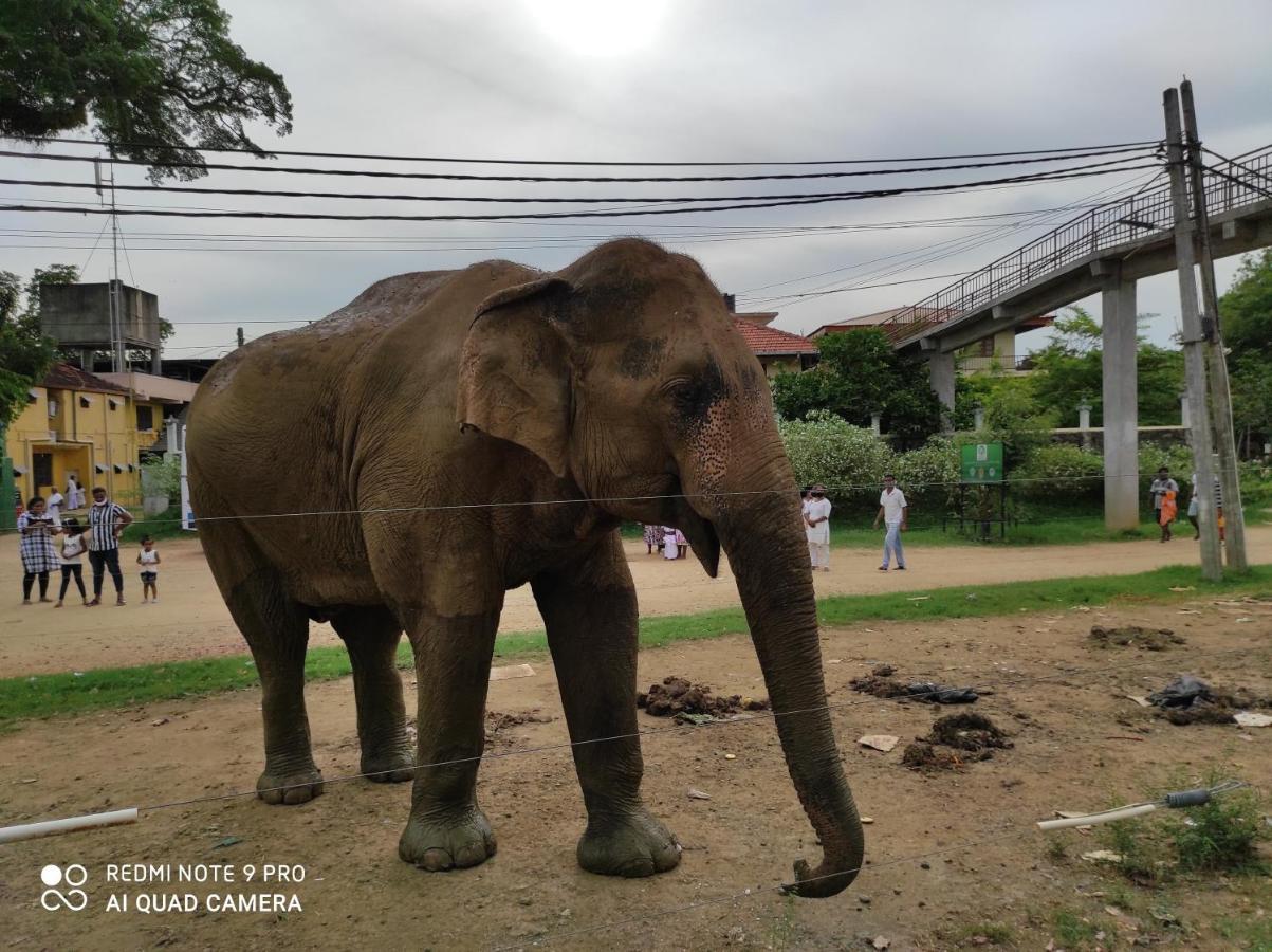 Geethani Tourist Home Polonnaruwa Eksteriør bilde